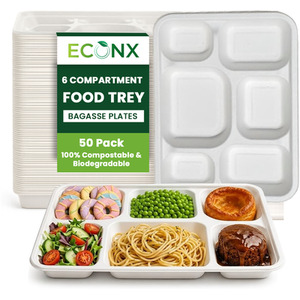 6 Compartment Disposable Plates Bagasse Food Tray Plate