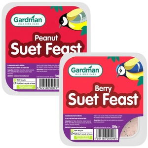 Gardman Wild Bird High Energy Peanut  Berry Suet Feast Block Double Pack