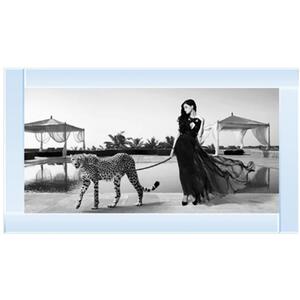 Woman with Cheetah Glitter Liquid Wall Art