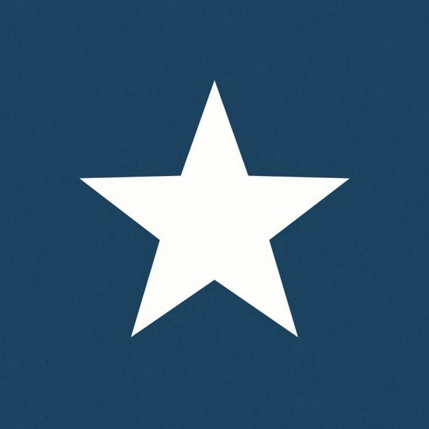 World Of Wallpaper Star Wallpaper Navy White (32.1Ft X 21In) - Navy/White