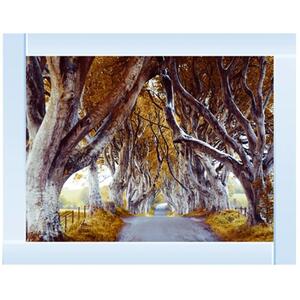 Dark Hedges Glitter Liquid Wall Art