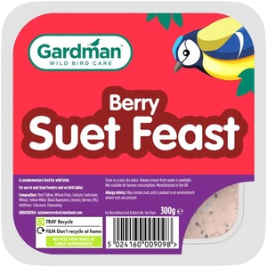 Gardman Wild Bird High Energy Berry Suet Feast Block