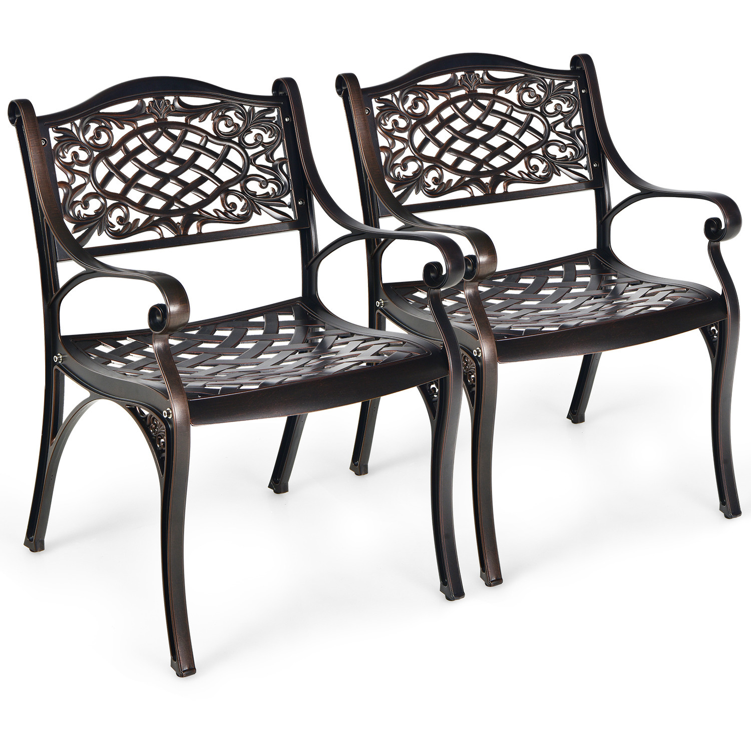 2 Piece Garden Patio Cast Chair - Brown