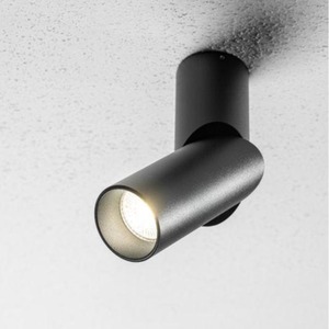 CGC ARIES Adjustable Surface Mount Ceiling Spotlight