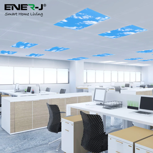 Ener J LED Backlit Panel 2D Sky Cloud Design 1195x595mm 60W Pack of 2