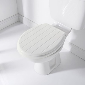 Tongue and Groove Toilet Seat