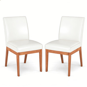 Set of 2 Modern Kitchen Chairs