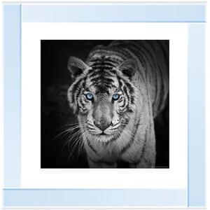 Blue Eyes Tiger Glitter Liquid Wall Art
