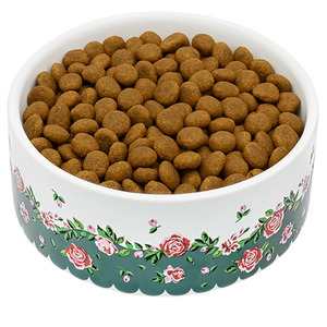 Cath Kidston Dolly Rose Ceramic Dog Bowls