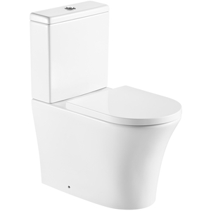 Closed Back Toilet With A Soft Close Seat