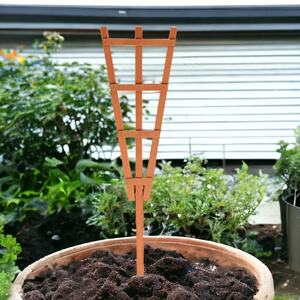 Natural Wooden Potted Plant Trellis Support Frame - 70 x 22 x 0.5 cm - Brown - Set of 10
