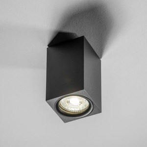 CGC TIPO Ceiling Mount Downlight