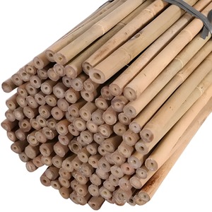 3ft Bamboo Plant Support Garden Canes