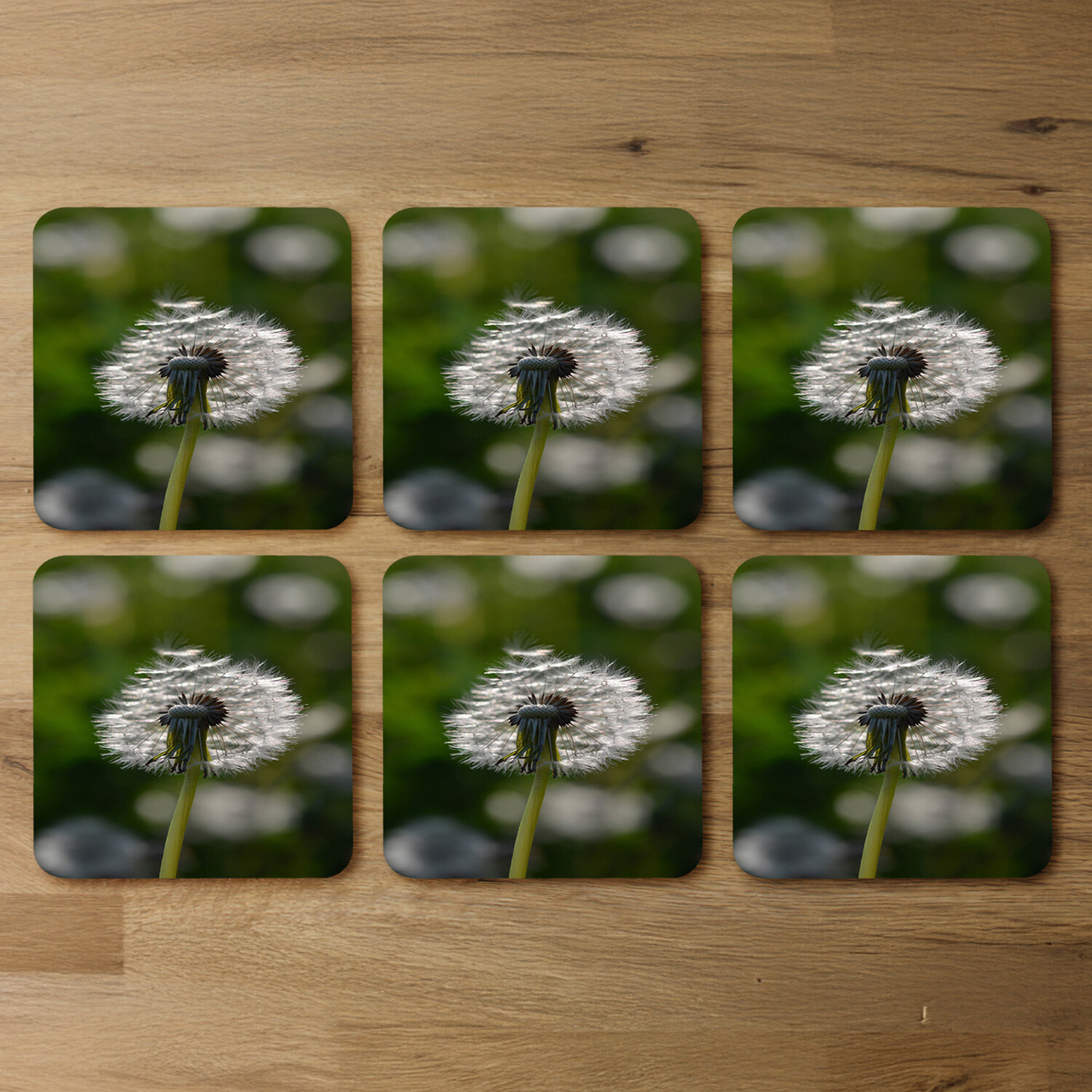fluffy flower Designer Coaster Set - Green