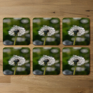 fluffy flower Designer Coaster Set