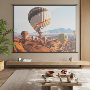 Manual Pull Down Projector Screen