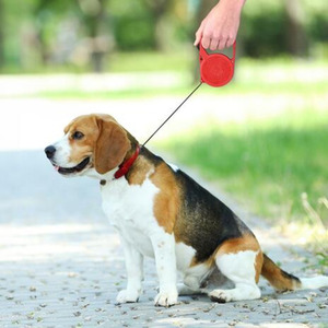 Retractable Dog Lead Extendable Leash for Dogs