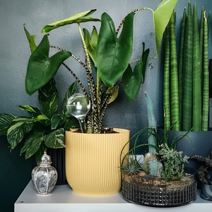 Vibes Fold Round Flower Pot - 9cm