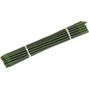 10pc Extendable Support Stakes