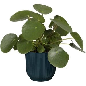 18cm Fold Round Flower Pot