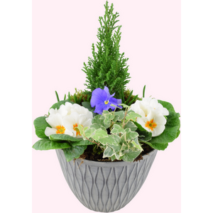 Seasonal Bloom Planter 26cm Decorative Outdoor Container