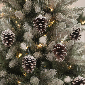 Frosted Real Pine Cones for Christmas Tree Decoration